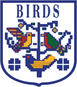 Bricks Builder Templates